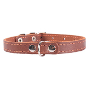 Collar Classic