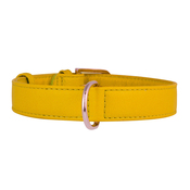 Collar Glamour