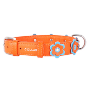 Collar Glamour Application