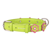 Collar Glamour Application