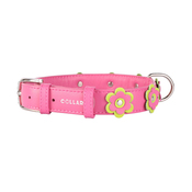 Collar Glamour Application
