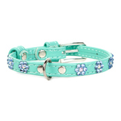 Collar Glamour