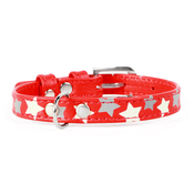 Collar Glamour Stars