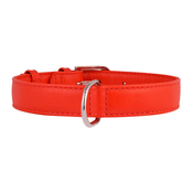 Collar Glamour