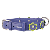 Collar Glamour Application