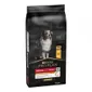 Pro Plan Adult Medium Everyday Nutrition Chicken