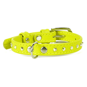 Collar Glamour