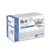 Brit Grain-Free VetDiets Recovery with Salmon