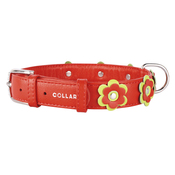 Collar Glamour Application