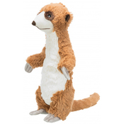 Trixie Meerkat
