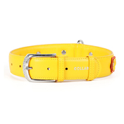 Collar Glamour Application