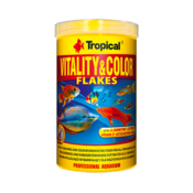 Tropical Vitality & Color