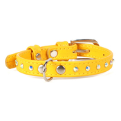 Collar Glamour