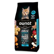 Ownat Kitten Ultra