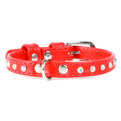 Collar Glamour