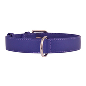 Collar Glamour