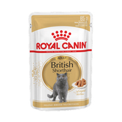 Royal Canin British Shorthair Adult