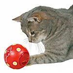 Игрушки для кошек