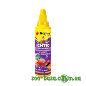 Tropical Ichtio