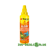 Tropical Algin