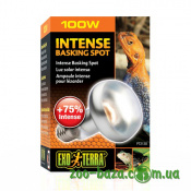 Exo Terra Intense Basking Spot S25