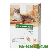Bayer Advantage