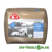 8in1 Europe Coaching Pads