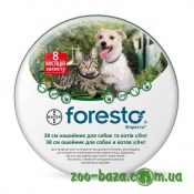 Bayer Foresto
