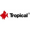 Tropical